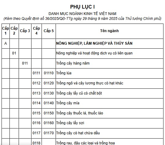 phụ lục 1