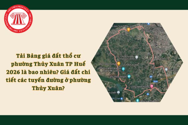 Pháp luật