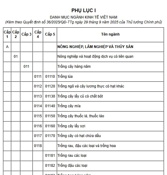 phụ lục 1