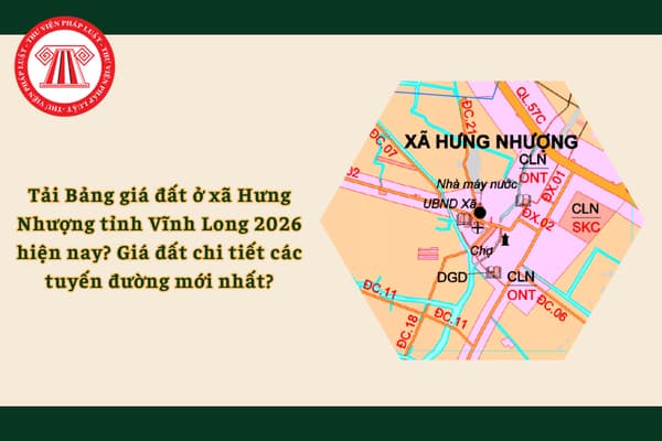 Pháp luật