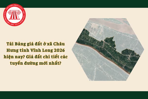 Pháp luật