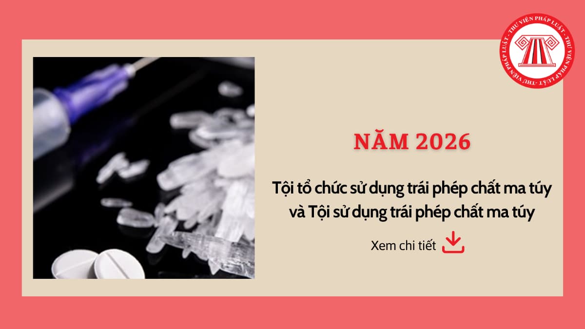 Pháp luật