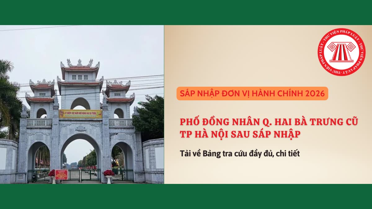 Pháp luật