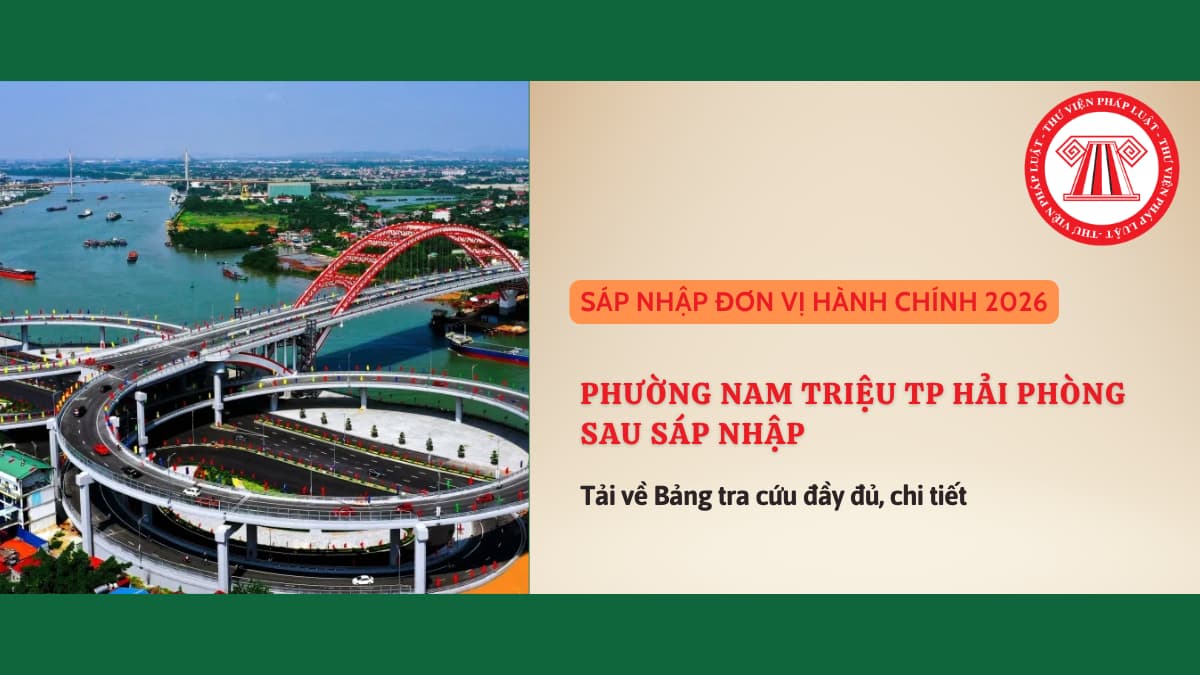 Pháp luật