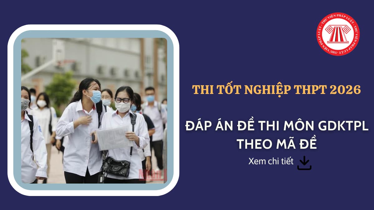 Pháp luật