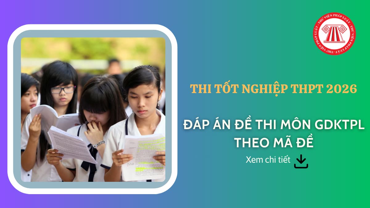 Pháp luật