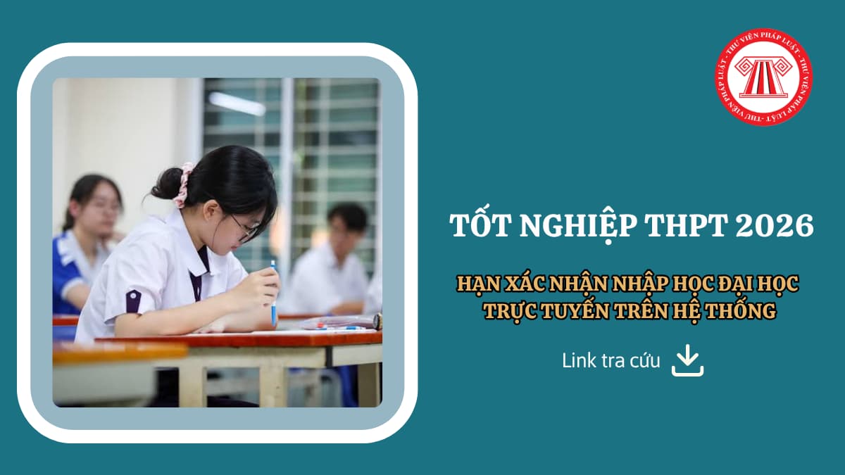 Pháp luật