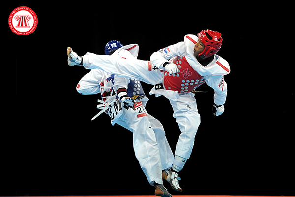 Taekwondo Võ Phù Hiệu Bị Cô Lập Trên Nền Trắng Minh Họa Vector Hình minh  họa Sẵn có  Tải xuống Hình ảnh Ngay bây giờ  iStock