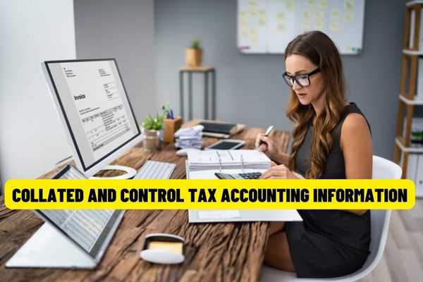 How to compare and control input data of tax accounting module in Vietnam?