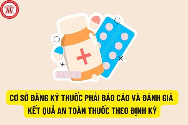 Cơ sở đăng ký thuốc phải báo cáo, theo dõi và đánh giá an toàn, hiệu quả của thuốc theo định kỳ?