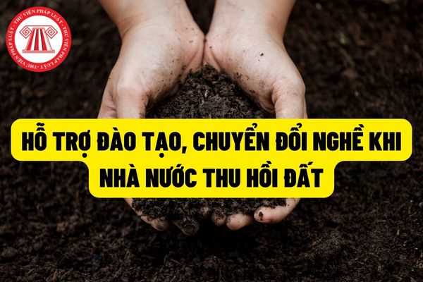 Hỗ trợ đào tạo, chuyển đổi nghề trong các trường hợp Nhà nước thu hồi đất nông nghiệp, đất ở kết hợp kinh doanh dịch vụ như thế nào? Hỗ trợ tái định cư đối với người Việt Nam định cư ở nước ngoài khi thu hồi đất như thế nào?