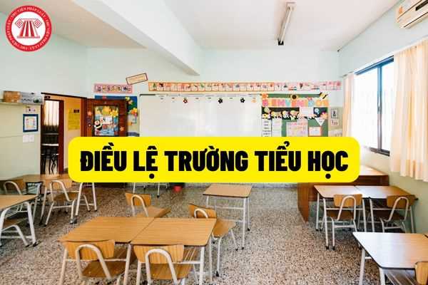 Thông tư 28 điều lệ trường tiểu học quy định về tên trường, biển tên trường được cấu thành như thế nào? Các loại hình, trường tiểu học hiện nay? 