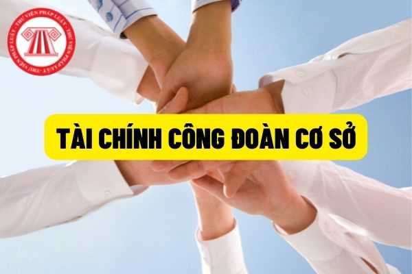 Tài chính công đoàn: Quản lý tài chính công đoàn cơ sở như thế nào? Quản lý tài chính, tài sản, kế toán công đoàn cơ sở nhu thế nào?