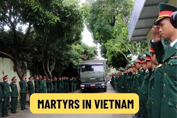 Is there recognition of martyrs for soldiers who sacrificed themselves in combat training and live-fire drills? Records of recognition of martyrs in Vietnam like?