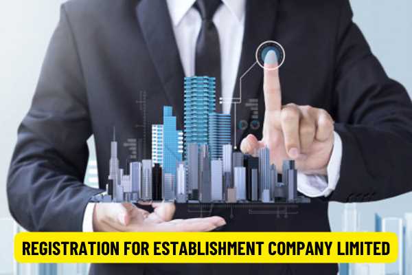 Form of application for enterprise registration of a limited company and certificate of enterprise registration of a limited company in 2022?