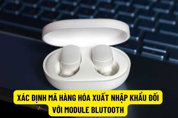 Tai nghe không dây (Module bluetooth) được xác định mã hiệu trong Danh mục hàng hóa xuất nhập khẩu Việt Nam?