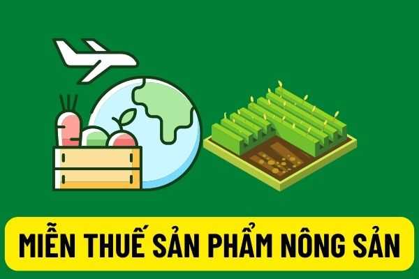 Cơ sở miễn thuế sản phẩm nông sản của tỉnh Tây Ninh hỗ trợ đầu tư, trồng tại Campuchia vận chuyển về Việt Nam là gì? 