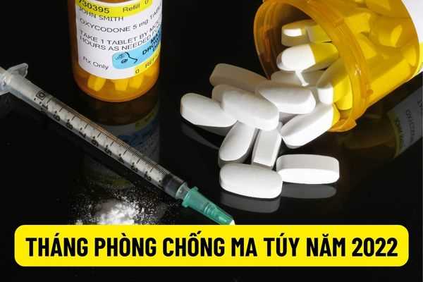 Bộ Lao động - Thương binh và Xã hội: Triển khai Tháng hành động phòng chống ma túy năm 2022 từ ngày 06/6/2022 như thế nào?