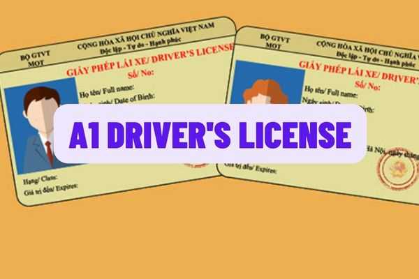 what-is-an-a1-driver-s-license-in-vietnam-if-you-have-an-a1-driver-s