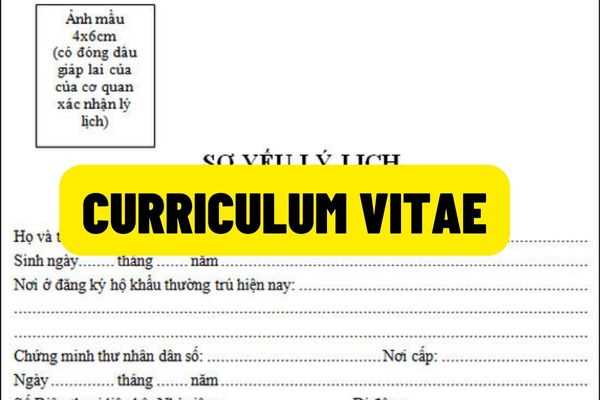 Guidelines for writing a standard curriculum vitae in Vietnam? A few resume in Vietnam templates that match the requirements of the latest employers in 2022?