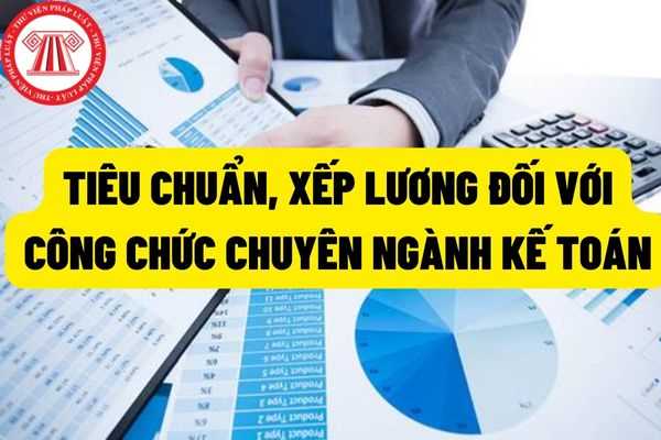 Các chức danh và mã số ngạch công chức chuyên ngành kế toán, thuế, hải quan, dự trữ thay đổi như thế nào từ 18/7/2022?