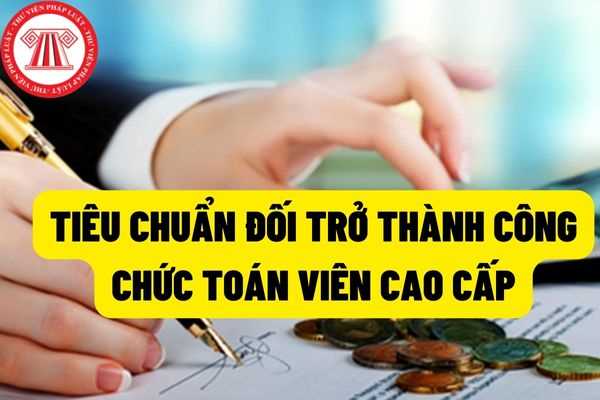 Tiêu chuẩn chức danh kế toán viên cao cấp từ 18/7/2022? Có cần chứng chỉ ngoại ngữ với trình độ tương đương bậc 4 không?