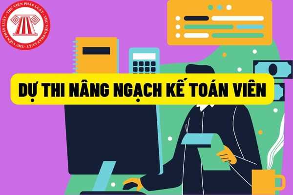 Tiêu chuẩn chức danh kế toán viên từ 18/7/2022: Thời gian tập sự, thử việc có được tính vào thời gian giữ ngạch để dự thi nâng ngạch kế toán viên không?