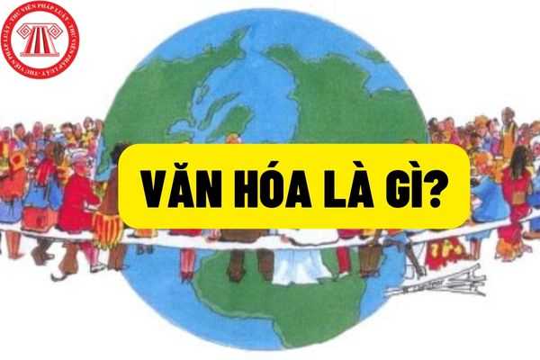 Vô Văn Hóa Là Gì?