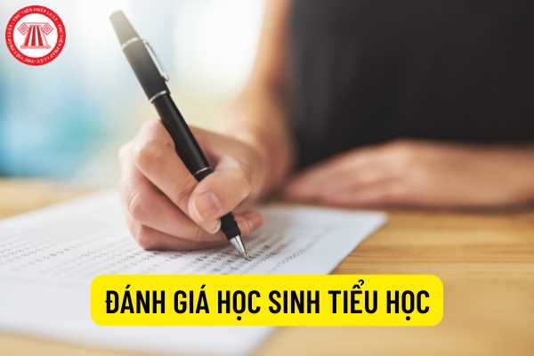 Việc đánh giá học sinh tiểu học được thực hiện vào những thời điểm nào? Kết quả đánh giá được phân loại như thế nào?