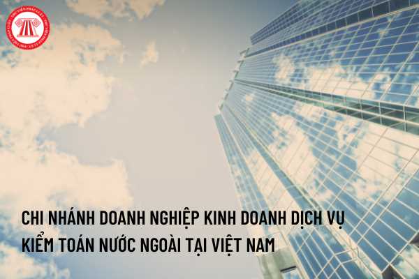  Chi nhánh doanh nghiệp kinh doanh dịch vụ kiểm toán nước ngoài tại Việt Nam