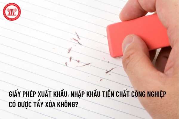 Giấy phép xuất khẩu, nhập khẩu tiền chất công nghiệp bị tẩy xóa, sửa chữa không?