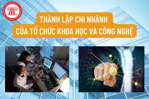 Tổ chức khoa học và công nghệ nước ngoài có được phép thành lập chi nhánh hoạt động tại Việt Nam hay không?