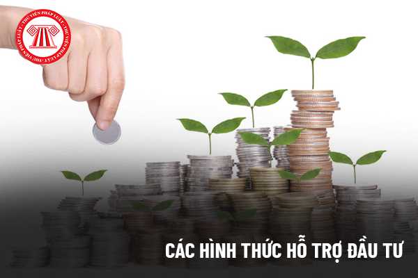 Hình thức hỗ trợ đầu tư