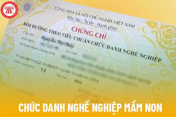 Có bao nhiêu mã số hạng chức danh nghề nghiệp mầm non?