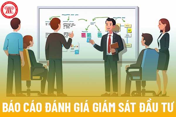 Báo cáo đánh giá giám sát đầu tư