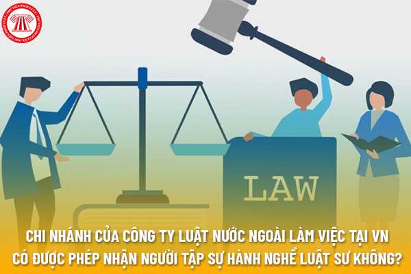 Chi nhánh của công ty luật nước ngoài làm việc tại Việt Nam có được phép nhận người tập sự hành nghề luật sư hay không?﻿