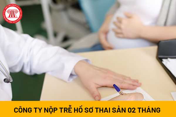 Có bao nhiêu loại trợ cấp thai sản cho người lao động và tiền trợ cấp đó được tính như thế nào?
