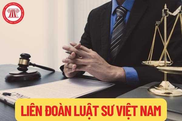 Liên đoàn luật sư Việt Nam