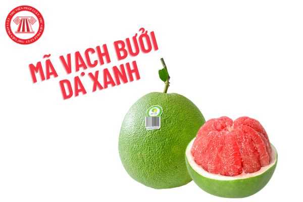 Mã vạch đối với trái bưởi da xanh