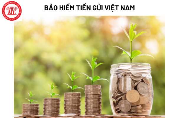 Bảo hiểm tiền gửi Việt Nam: \
