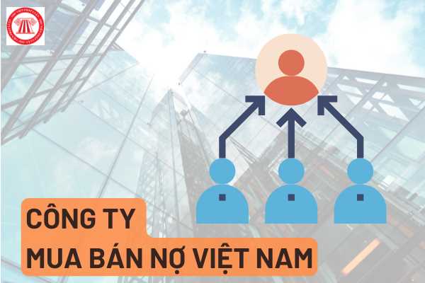 Đại diện chủ sở hữu công ty mua bán nợ Việt Nam