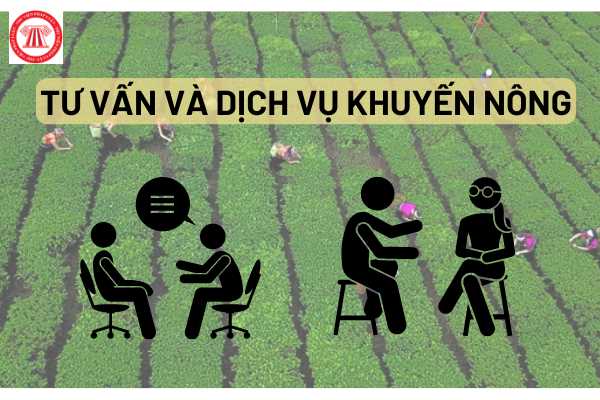 Tư vấn và dịch vụ khuyến nông