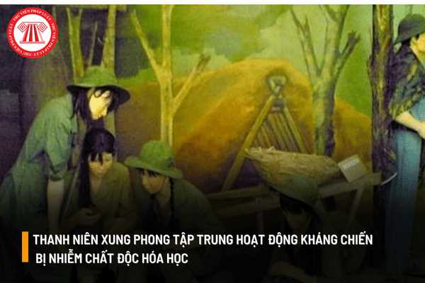 Thanh niên xung phong tập trung hoạt động kháng chiến bị nhiễm chất độc hóa học có được hưởng chế độ ưu đãi hay không? 