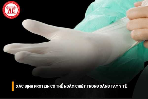 Xác định protein có thể ngâm chiết trong găng tay y tế sử dụng một lần