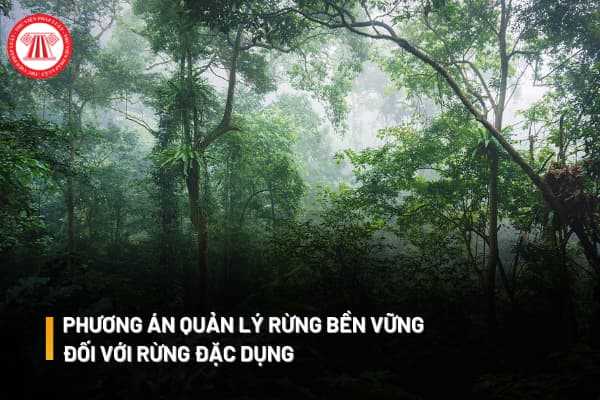 Phương án quản lý rừng bền vững đối với rừng đặc dụng