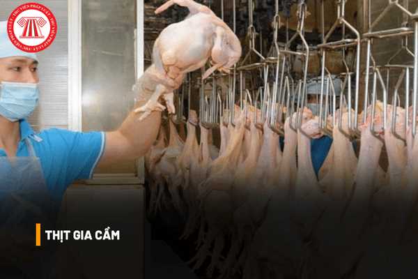 Thịt gia cầm nuôi ngay sau khi giết mổ có thể dùng những phương pháp thử nào để xác định chất lượng?