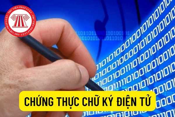 Hoạt động dịch vụ chứng thực chữ ký điện tử bao gồm những gì? Quyền và