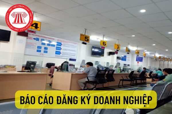 Hướng dẫn cách ghi 05 biểu mẫu báo cáo đăng ký doanh nghiệp năm ...