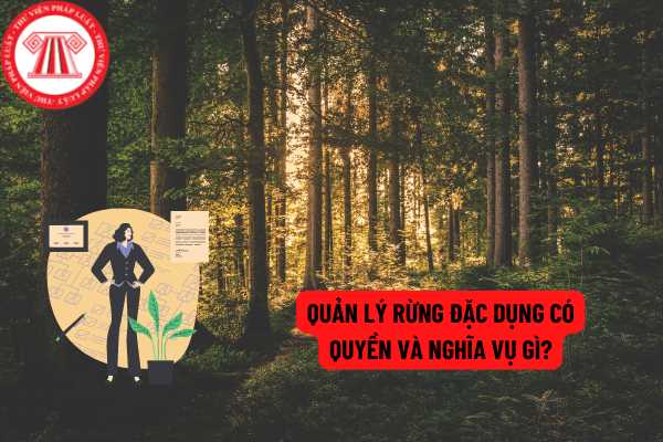 Quản lý rừng đặc dụng có quyền và nghĩa vụ gì?