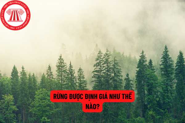 Rừng được định giá như thế nào?